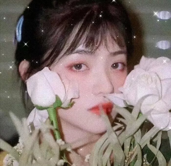 孽扣1988